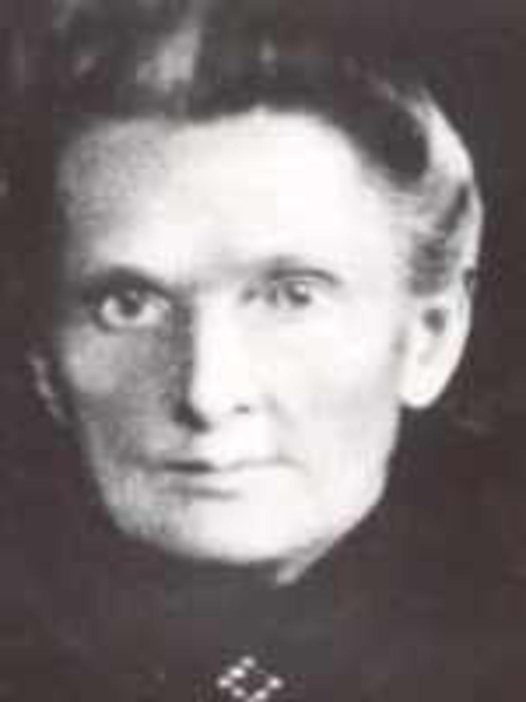 Charlotte Hunt (1852 - 1932) Profile